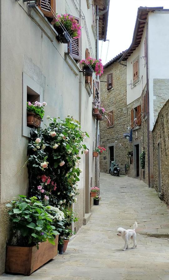 Casa Agata, Accogliente Appartamento Nel Centro Storico Cortona Bagian luar foto